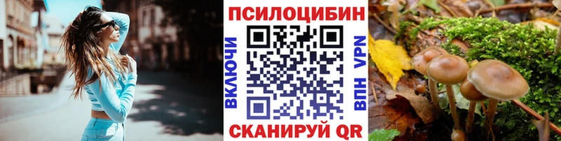 где купить наркотик  Бирск  Галлюциногенные грибы Psilocybine cubensis 