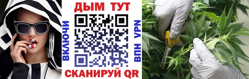 Шишки марихуана Amnesia  Бирск 